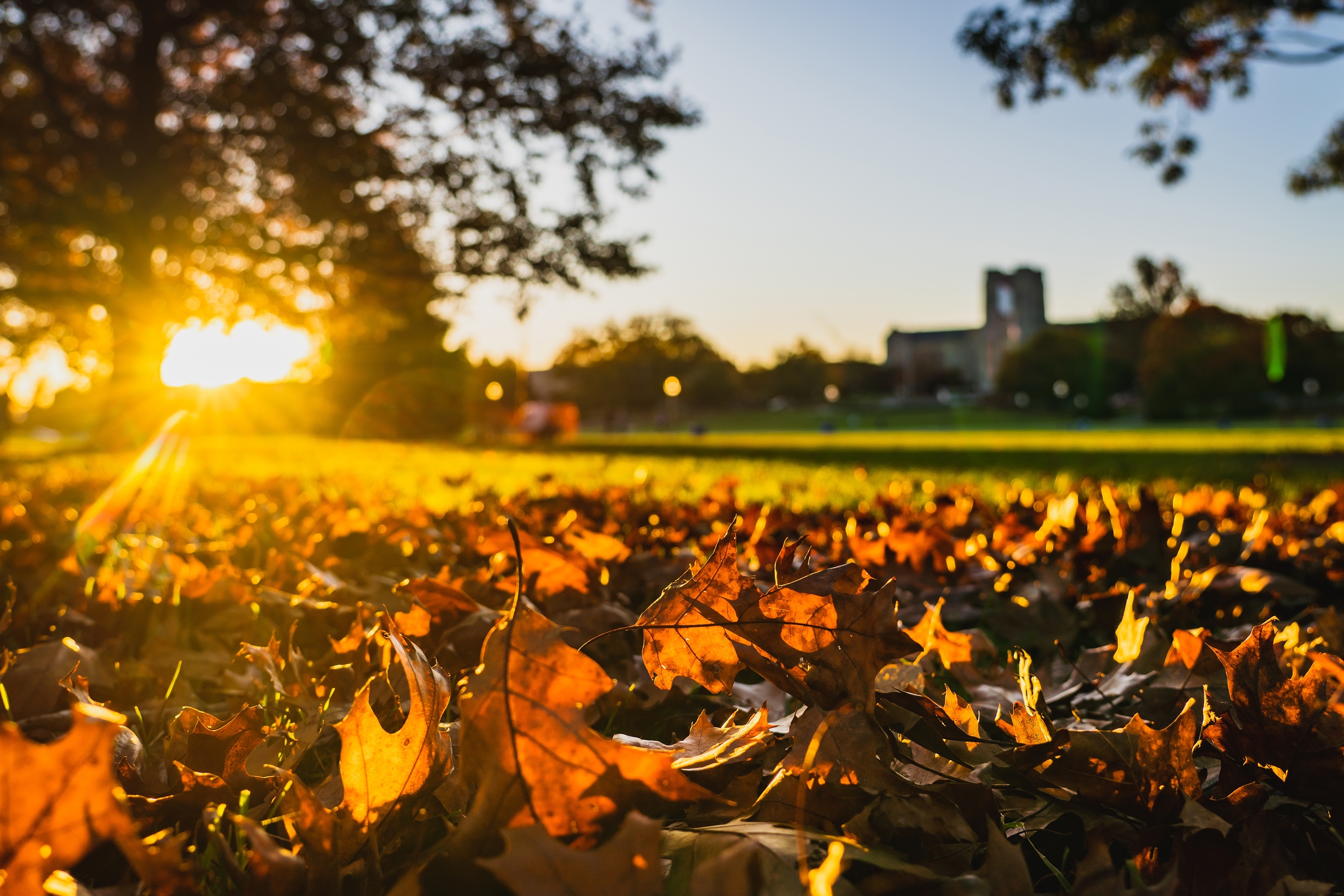 Drillfield as dusk approaches